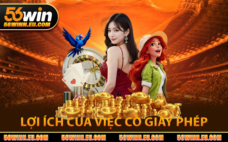 Lợi Ích Của Việc Có Giấy Phép